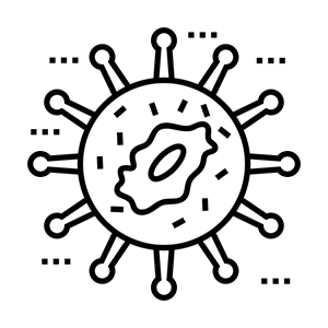 Gynec